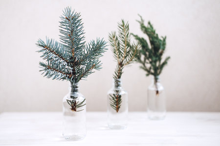 Festive Eco-Friendly environmentally friendly Christmas. Sustainable green Xmas. Branches of coniferous fir trees in bottles, minimal sustainable Christmas decorations for home.の写真素材
