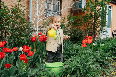Spring Gardening Activities for Kids. Cute toddler little girl in raincoat watering red tulips flowers in the spring summer gardenの写真素材