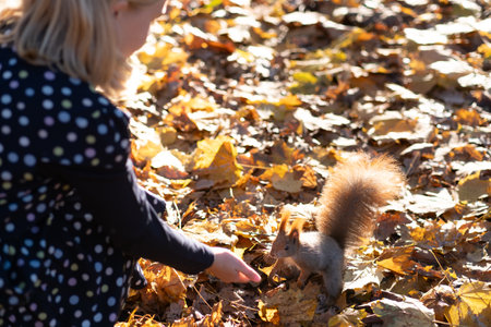 Happy funny mom and teen daughter feeding nuts to a squirrel on autumn park on a sunny day. Family spend time together and enjoy autumn fall seasonの写真素材