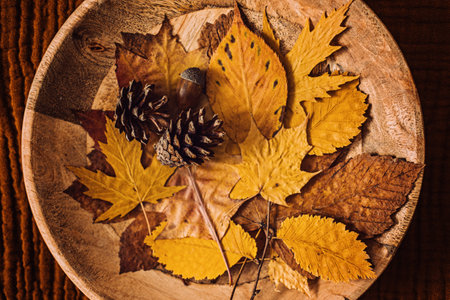 Autumn fall brown earthy tones background with dry maple leaves in round plate.の写真素材