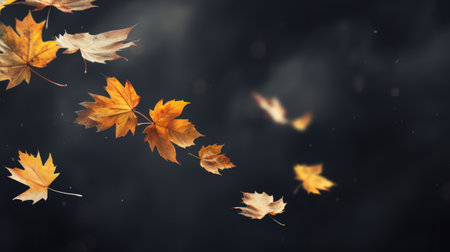 Autumn fall leaves are falling flying on black background. Pattern with Colorful Autumn leaves.の素材