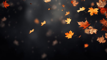 Autumn fall leaves are falling flying on black background. Pattern with Colorful Autumn leaves.の素材