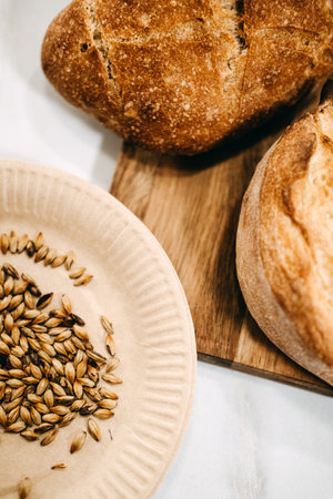 Artisan Sourdough Bread with Malted Barley Grainsの写真素材