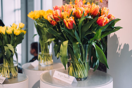 Bright Parrot Tulips Display at Botanical Eventの写真素材