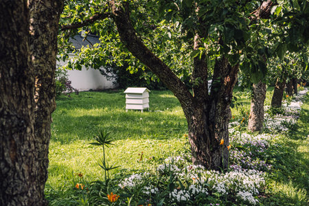 Organic and Natural Beekeeping. Modern Beehive in Lush Gardenの写真素材