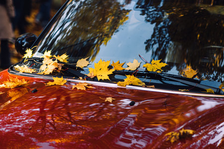 Yellow autumn leaves on red car hood and windshield. Fall season, automotive photography,...