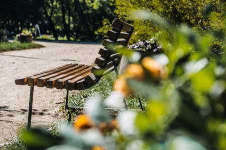 Wooden park bench surrounded by greenery and ivy in a sunny urban park. Nature, relaxation, outdoor...