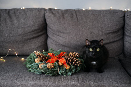 Black cat resting on a Christmas wreath with pinecones and red bow. Cozy holiday decor, peaceful winter atmosphere, and festive simplicity.の写真素材