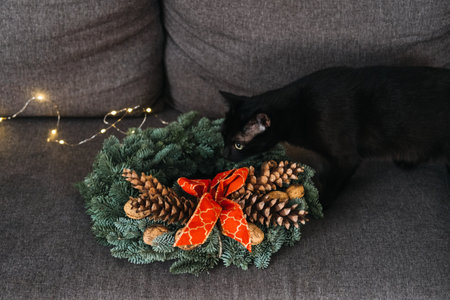 Black cat sitting next to Christmas wreath with pinecones and red bow on a couch. Cozy pet-friendly holiday decor and Christmas comfort.の写真素材