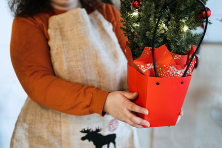 Hands decorating a small potted Christmas tree with ornaments and ribbons. Showcasing personalized holiday crafts and handcrafted gift ideas.の写真素材