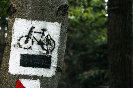 Black bicycle symbol and route marker painted on tree bark in a wooded area. Outdoor recreation, sustainable travel, bike trail signage, eco-tourism..の写真素材
