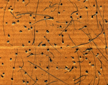 Old paper cardboard beige texture or backgroundの写真素材