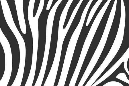 Vector zebra wavy concept abstract flat backgroundのイラスト素材