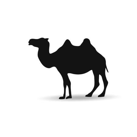 Camel graphic icon vector isolated on white backgroundのイラスト素材