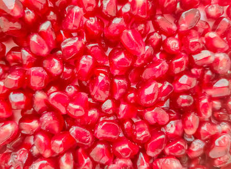 Fresh pomegranate seeds fruit background.の写真素材