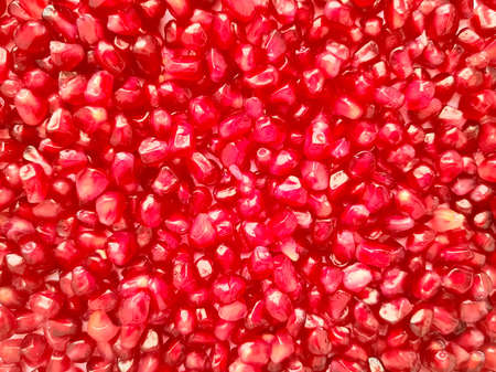 Fresh pomegranate seeds fruit background. Health food.の写真素材