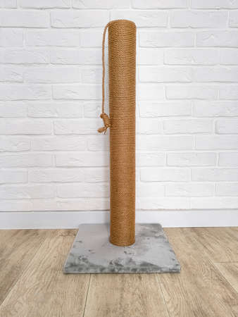 Cat scratching post opposite white brick wall on wooden floor in room interiorの写真素材