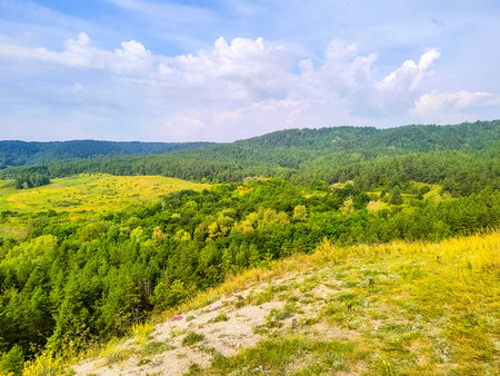 Russian summer landscape with blue sky and trees