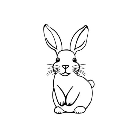 Rabbit outline sketch vector. Bunny for coloringのイラスト素材