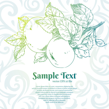 beautiful hand drawn vector apples. background illustrationのイラスト素材