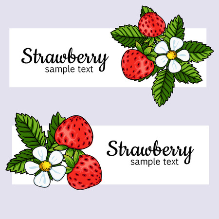 beautiful strawberries composition isolated on white backgroundのイラスト素材