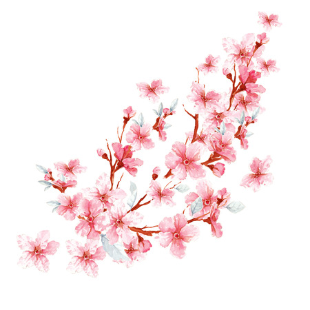 beautiful flowers. watercolor illustrationの写真素材
