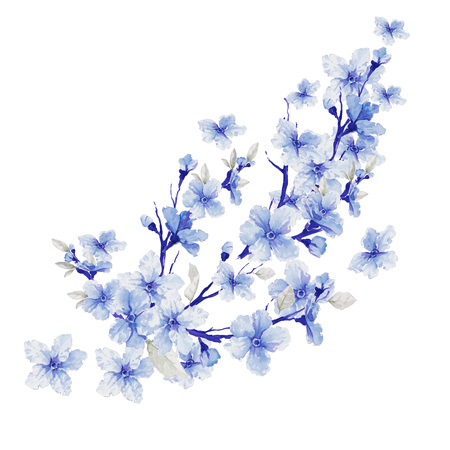 beautiful flowers. watercolor illustrationの写真素材
