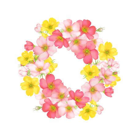 Dog-rose blooms. pink and yellow wild rose vector illustrationのイラスト素材