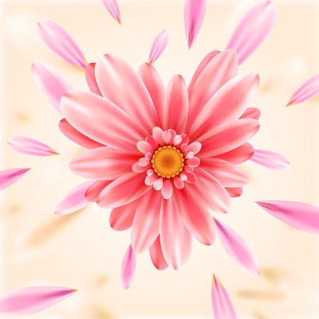 Gerbera flower heart vector card.のイラスト素材