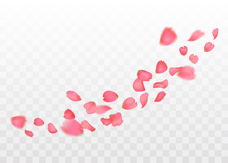 Pink sakura or rose falling petals on transparent background.のイラスト素材