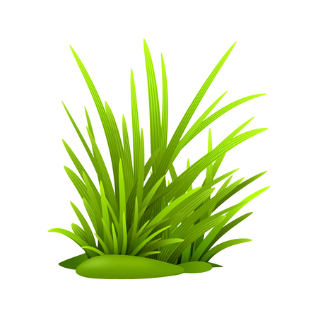 Green grass leaves, vector eps realistic illustrationのイラスト素材
