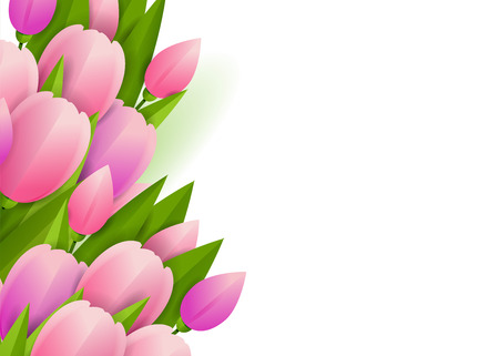 Floral background with pink tulips vector illustrationのイラスト素材
