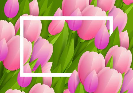 Floral background with tulips and white frame.のイラスト素材