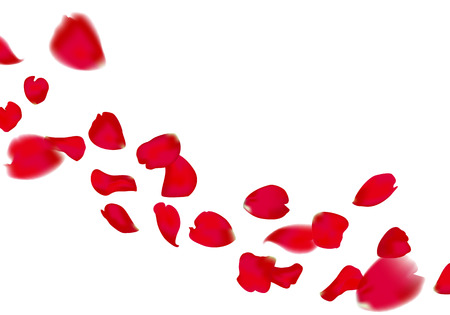 red sakura or rose falling petalsのイラスト素材
