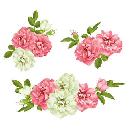 Realistic vector pink rose set.のイラスト素材