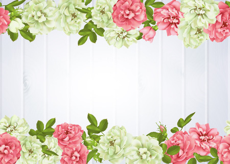 Realistic vector pink rose. 3d rosesのイラスト素材