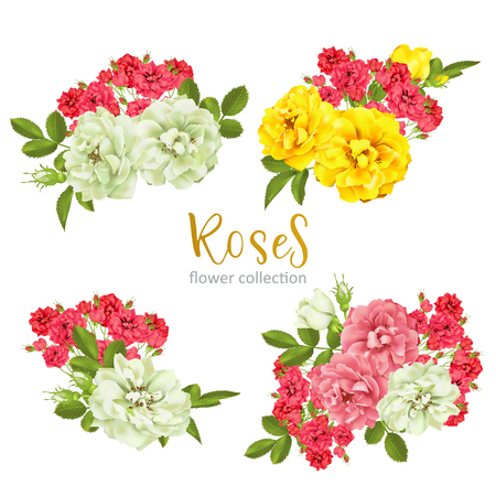 Set collection of roses on white backgroundのイラスト素材