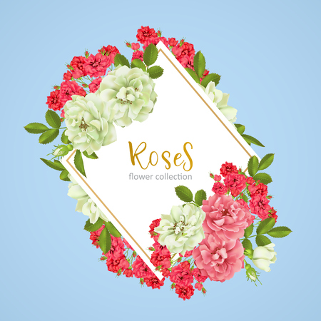 Wedding invitation with wild rose flowersのイラスト素材