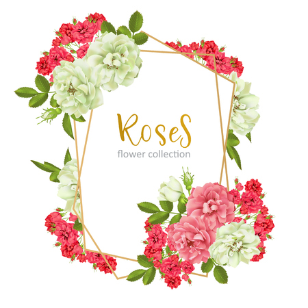 Wedding invitation with wild rose flowersのイラスト素材
