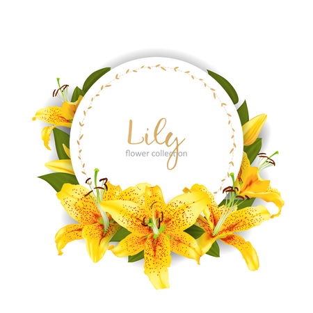Wedding invitation with lily flowers template vector illustrationのイラスト素材