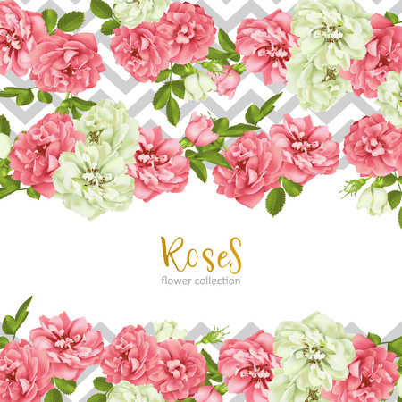 Wedding invitation with wild rose flowers. Vector illustration.のイラスト素材