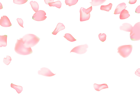 Pink sakura or rose falling petalsのイラスト素材