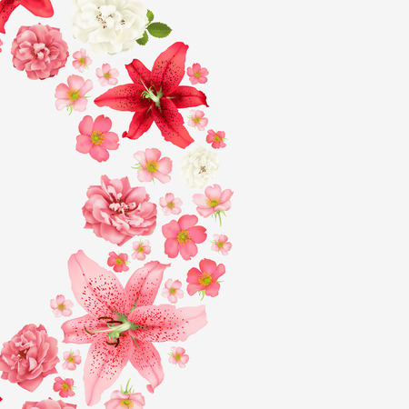 Rose and lily wedding invittion.のイラスト素材