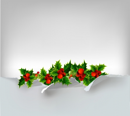 Christmas background with ripped paper and hollyのイラスト素材