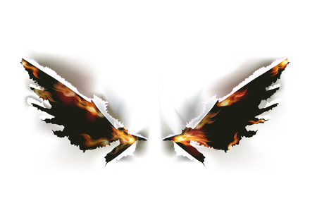 Paper ripped design, wings Paper ripped design, wings