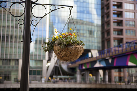 LONDON, UK - CANARY WHARF, MARCH 22, 2014  Modern glass buildings of the biggest business district in London and flower basket  Canary Wharf is a headquarter for main world s banks, insurance, media companies etcのeditorial素材