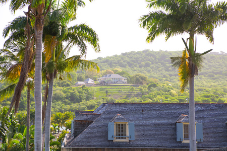 Antigua, Roof of Nelson's dock yard and palms against of English Harbour hillsの写真素材