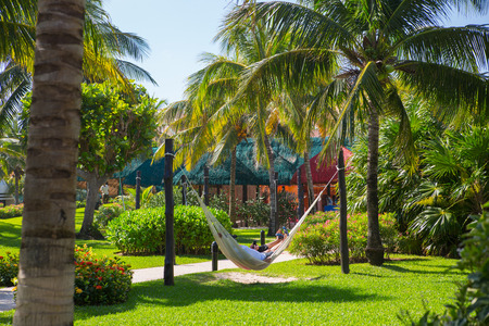 Mexico, Cancun - February 15, 2018: Park with palms and tropical plantsのeditorial素材