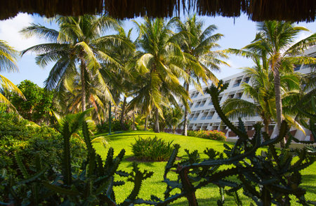 Mexico, Cancun - February 15, 2018: Park with palms and tropical plantsのeditorial素材