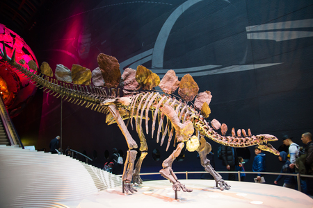 London, UK - March 11, 2018: Dinosaurs display in National history museumのeditorial素材